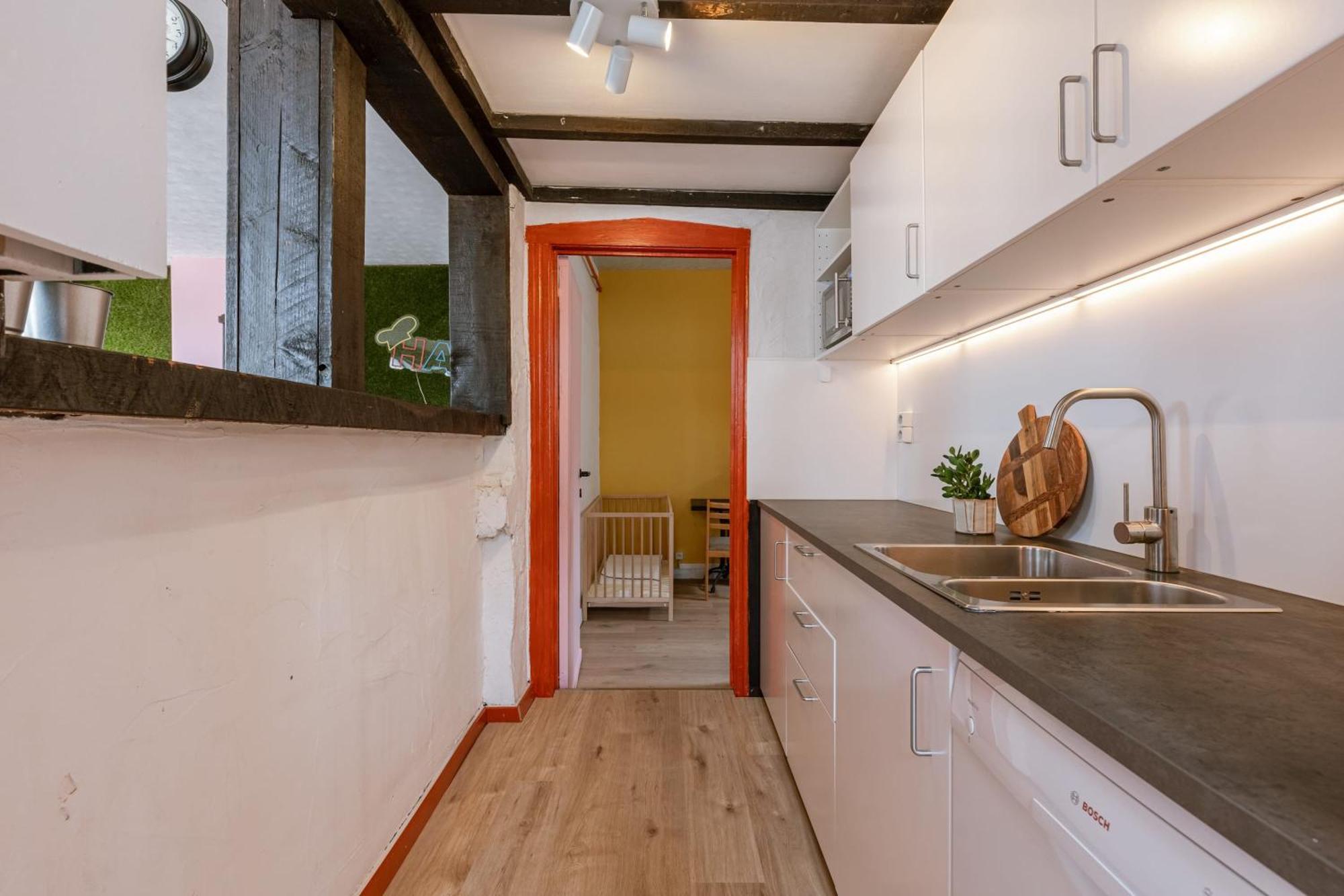 Huswell - Spacious Center House In Appartement Gent